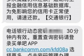 泾阳为什么选择专业追讨公司来处理您的债务纠纷？